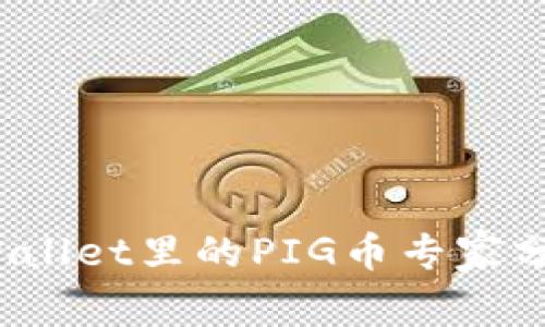 独家揭秘：TPWallet里的PIG币专家分析与投资秘诀