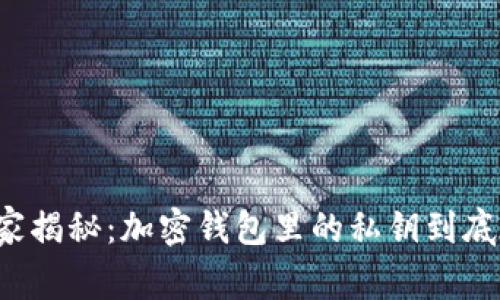 专家独家揭秘：加密钱包里的私钥到底在哪里？