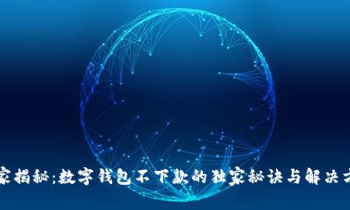 专家揭秘：数字钱包不下款的独家秘诀与解决方案
