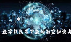 专家揭秘：数字钱包不下