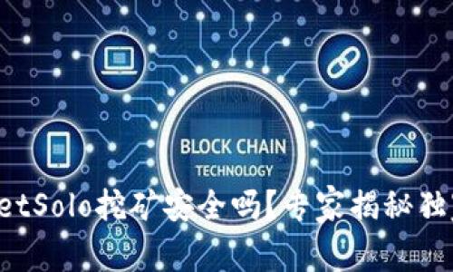 TPWalletSolo挖矿安全吗？专家揭秘独家秘诀！