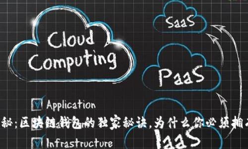 专家揭秘：区块链钱包的独家秘诀，为什么你必须拥有一个？