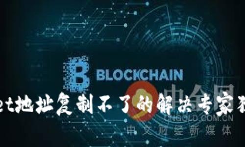 TPWallet地址复制不了的解决专家独家秘诀