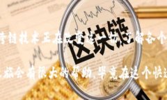 电子钱包在各区块链是否