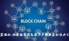 专家揭秘：加密数字钱包