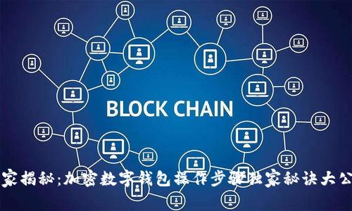 专家揭秘：加密数字钱包操作步骤独家秘诀大公开