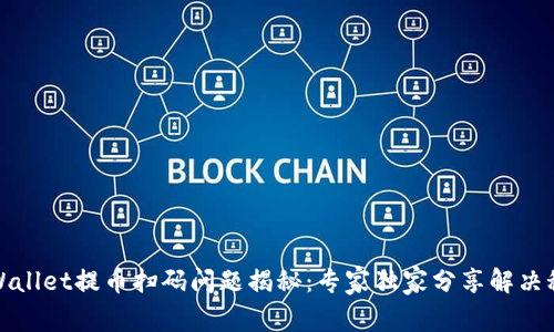 TPWallet提币扫码问题揭秘：专家独家分享解决秘诀