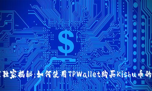 专家独家揭秘：如何使用TPWallet购买Kishu币的秘诀