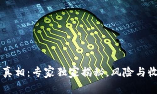 投资FREE币的真相：专家独家揭秘，风险与收益并存的秘诀