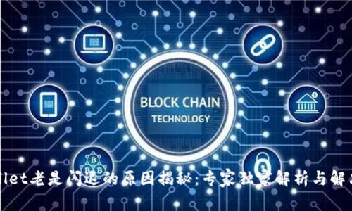 TPWallet老是闪退的原因揭秘：专家独家解析与解决秘诀