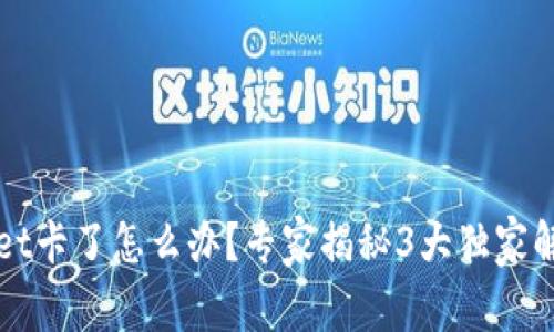 TPWallet卡了怎么办？专家揭秘3大独家解决秘诀