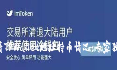 如何查看TPWallet地址持币情况：专家独家揭秘！