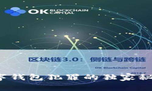 专家揭秘：数字钱包犯罪的独家秘诀与防范对策