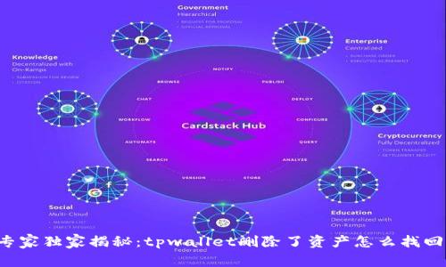 专家独家揭秘：tpwallet删除了资产怎么找回？
