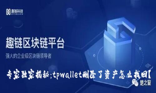 专家独家揭秘：tpwallet删除了资产怎么找回？
