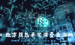 专家揭秘：数字钱包单笔