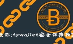 专家教你：tpwallet安全保障