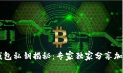 币客钱包私钥揭秘：专家