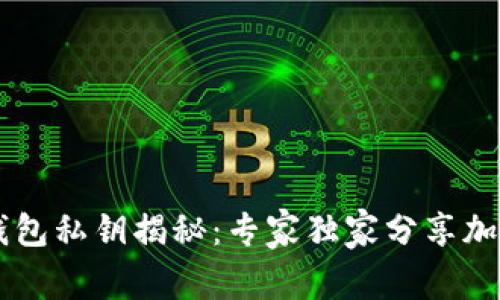 币客钱包私钥揭秘：专家独家分享加密秘诀