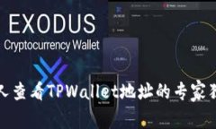 避免他人查看TPWallet地址的