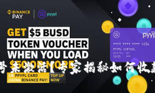 TPWallet账号未激活？专家揭秘如何收款的独家秘诀