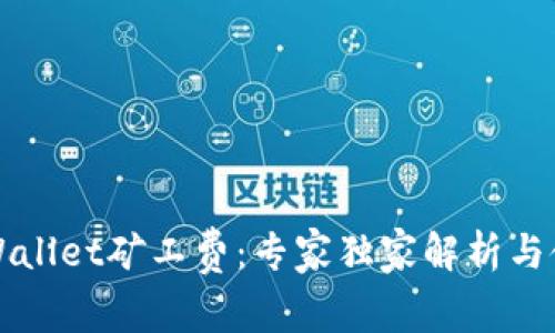 揭秘TPWallet矿工费：专家独家解析与使用秘诀