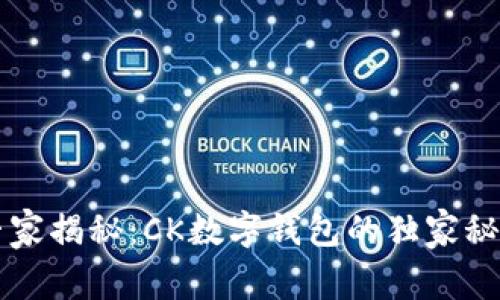 专家揭秘：CK数字钱包的独家秘诀