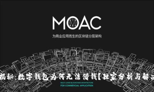 专家揭秘：数字钱包为何无法借钱？独家分析与解决秘诀