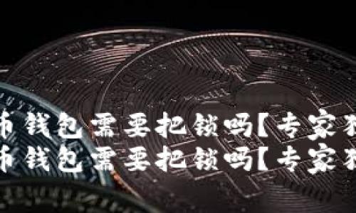 数字货币钱包需要把锁吗？专家独家揭秘
数字货币钱包需要把锁吗？专家独家揭秘