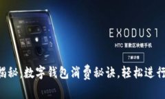 专家独家揭秘：数字钱包