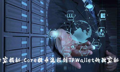 专家揭秘：Core提币流程到TPWallet的独家秘诀