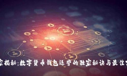 专家揭秘：数字货币钱包运营的独家秘诀与最佳实践