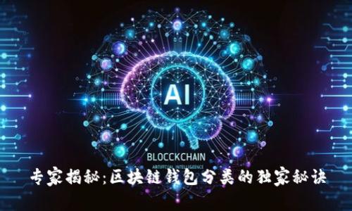 专家揭秘：区块链钱包分类的独家秘诀