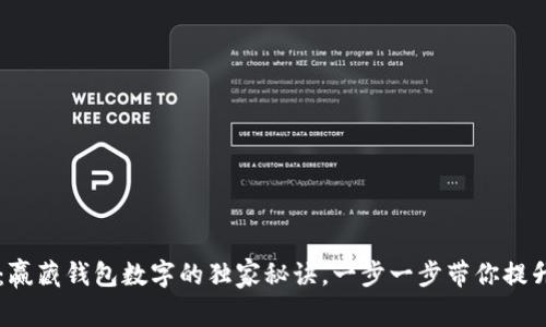 专家分享：赢藏钱包数字的独家秘诀，一步一步带你提升获利能力