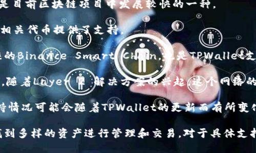 目前，TPWallet是一款多链数字钱包，支持多种不同的区块链资产。TPWallet主要支持以下几种类型的跨链币：

1. **以太坊（Eth）和ERC20代币**：作为最早的智能合约平台，以太坊的币种和其衍生的ERC20代币是TPWallet支持的重要部分。

2. **比特币（BTC）**：虽然比特币不支持智能合约，但作为最权威的加密货币，TPWallet也提供了对比特币的支持，使用户能够方便地管理和使用比特币资产。

3. **波场（TRON）及其代币**：TPWallet也支持波场网络上的各种代币，这也是目前区块链项目中发展较快的一种。

4. **EOS**：作为另一种支持智能合约的区块链平台，TPWallet也为EOS及其相关代币提供了支持。

5. **Binance Smart Chain（BSC）**：以其低手续费和快速交易而受到青睐的Binance Smart Chain，也是TPWallet支持的区块链之一。

6. **Polygon（MATIC）**：TPWallet也允许用户进行在Polygon网络上的交易，随着Layer 2 解决方案的兴起，这个网络的受欢迎程度在不断上升。

7. **其他跨链资产**：TPWallet可能还支持其他链上的资产，这些资产的支持情况可能会随着TPWallet的更新而有所变化。

总的来说，TPWallet一直在扩展其支持的链和代币种类，因此用户可以从中找到多样的资产进行管理和交易。对于具体支持的币种，建议用户随时查看TPWallet的官方公告或更新，以获取最新的信息。