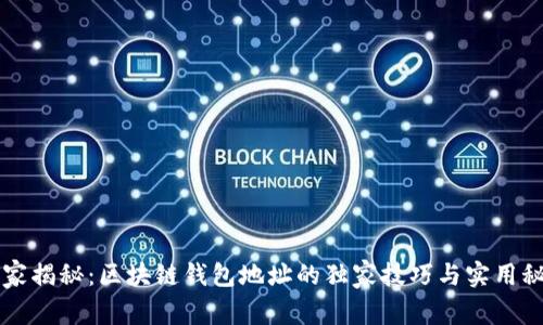 专家揭秘：区块链钱包地址的独家技巧与实用秘诀