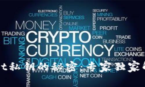 揭秘TPWallet私钥的秘密：专家独家解析使用秘诀