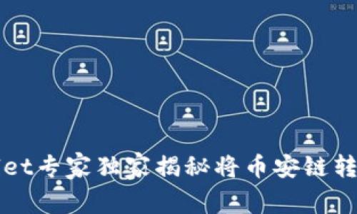 如何通过TPWallet专家独家揭秘将币安链转为波场链的秘诀