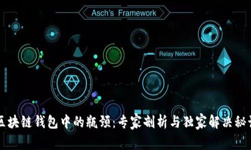 区块链钱包中的瓶颈：专家剖析与独家解决秘诀