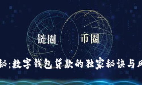 专家揭秘：数字钱包贷款的独家秘诀与风险评估