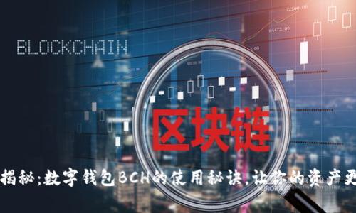 专家独家揭秘：数字钱包BCH的使用秘诀，让你的资产更安全无忧