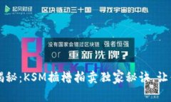 TPWallet专家揭秘：KSM插槽拍