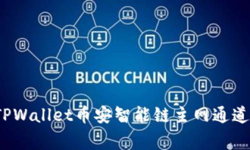 专家揭秘：TPWallet币安智能链主网通道的独家秘诀