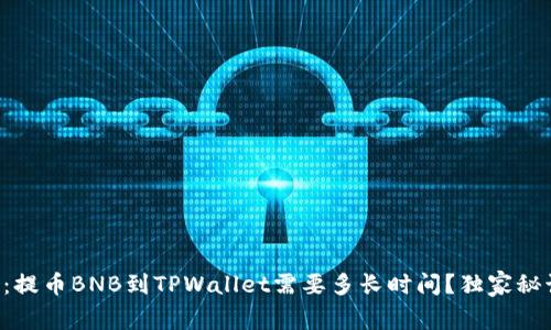 专家解读：提币BNB到TPWallet需要多长时间？独家秘诀大公开！
