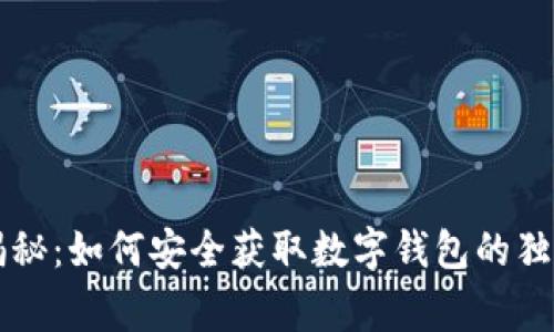 专家揭秘：如何安全获取数字钱包的独家秘诀