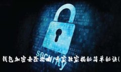 钱包加密去除攻略：专家