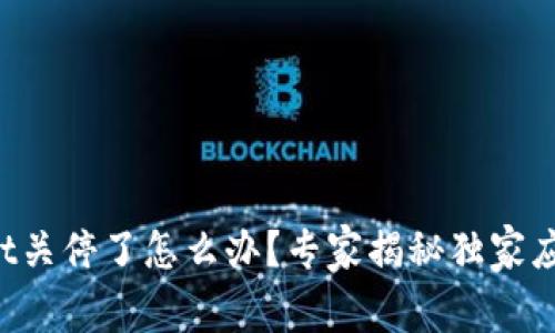 TPWallet关停了怎么办？专家揭秘独家应对秘诀！