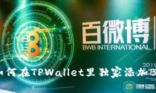 专家揭秘：如何在TPWallet里独家添加BCH链的秘诀