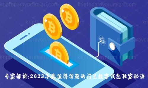 专家解析：2023年最值得信赖的闪兑数字钱包独家秘诀