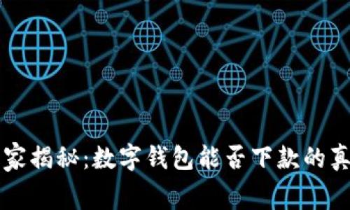 专家独家揭秘：数字钱包能否下款的真实内幕